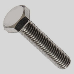 Stainless Steel Bolt